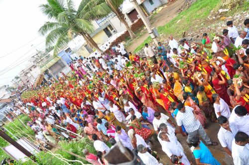 portfolio 8